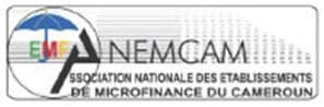 logo anem