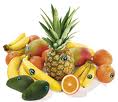 fruits