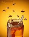pader_Apiculture3