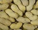pader_Arachide3