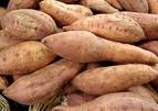 pader_PATATE1