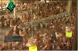 pader_coq2
