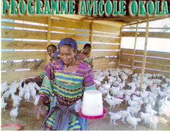 pader_coq3
