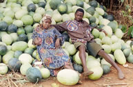pader_pasteque2