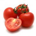 pader_tomate1