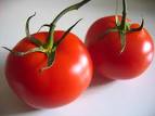 pader_tomate3