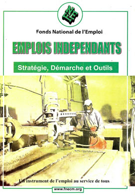 Emplois independants Strategie Demarche et Outils