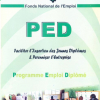 Plaquette PED